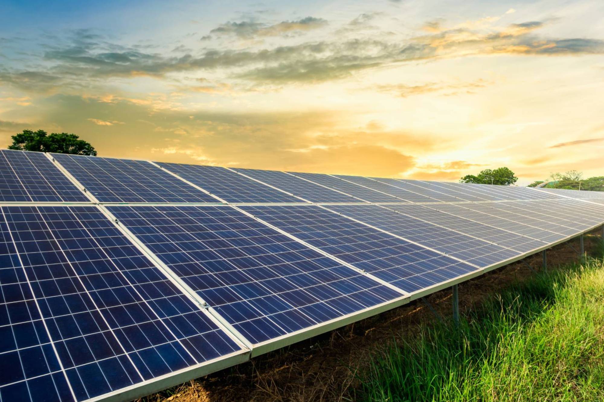 a view of top-quality solar panels